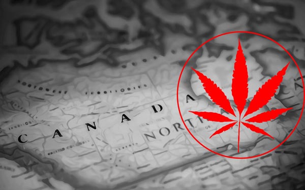 how does recreational cannabis works in canada 
