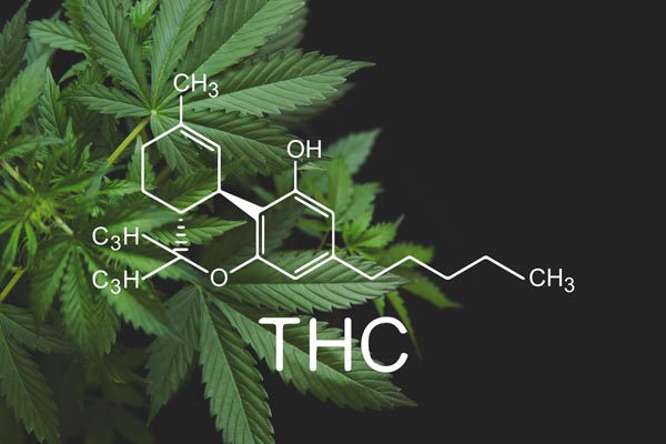 what is thc 