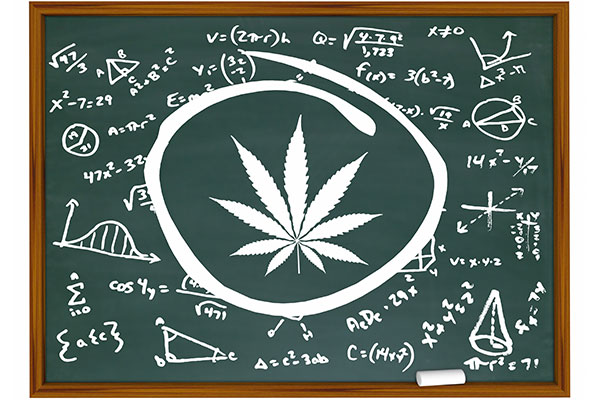 medical cannabis 101